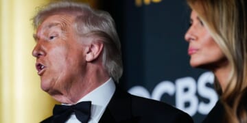 Trump on Netflix Warner Bros. deal: 'could be a problem' because of size of market share