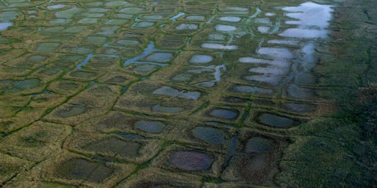 Lawsuit challenges the approval of drilling program in Alaska petroleum reserve