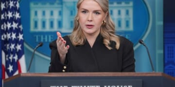 Karoline Leavitt's relative after detained by ICE: 'When does it stop?'