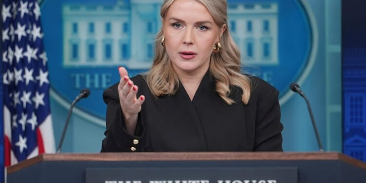 Karoline Leavitt's relative after detained by ICE: 'When does it stop?'