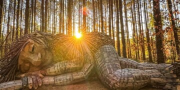 See the trolls: Thomas Dambo's sculptures turn recycled art into a global phenomenon