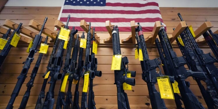 Feds sue D.C. police over de facto ban on AR-15s