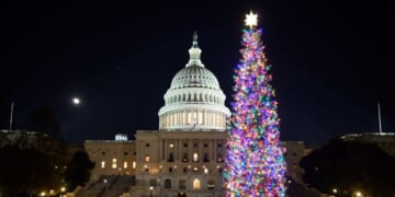The 2025 Capitol Christmas tree is seen on the West Lawn of the U.S. Capitol in Washington, D.C., on Dec. 7, 2025.