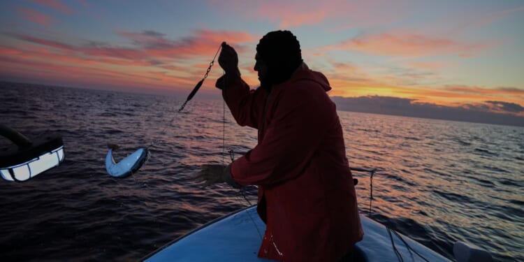 Cypriot fishermen battle invasive lionfish