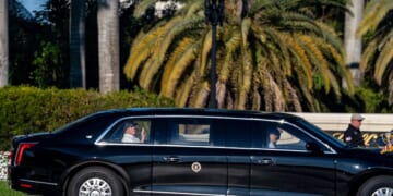 Donald Trump has 'very productive' phone call with Vladimir Putin before Volodymyr Zelenskyy meeting