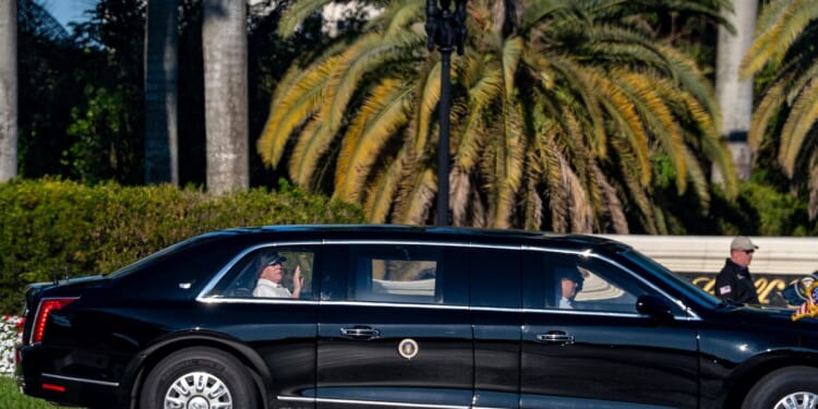 Donald Trump has 'very productive' phone call with Vladimir Putin before Volodymyr Zelenskyy meeting