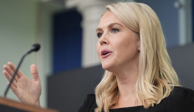 The Trump Administration Is Making a HUGE Move Against Somali Fraudsters – PJ Media