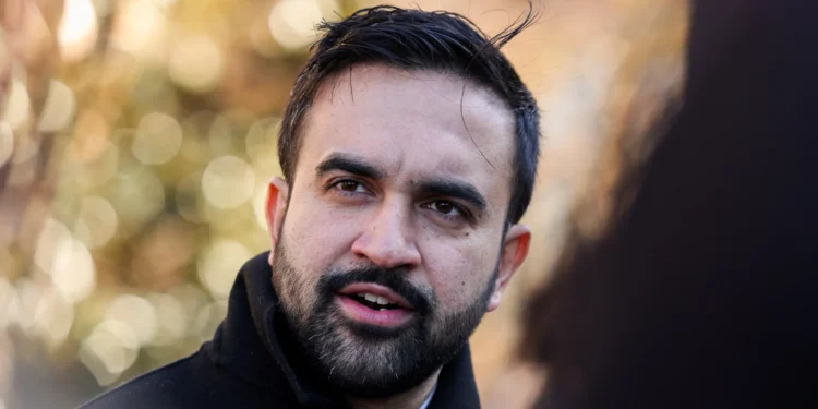 5 Radicals on Mamdani's Transition Team