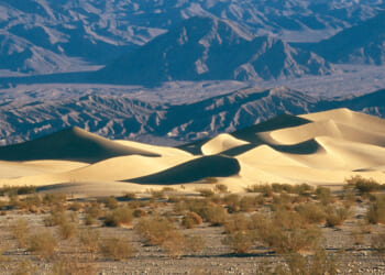 American Life: Less Ordinary - The Daily Reckoning