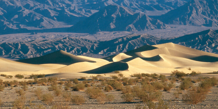 American Life: Less Ordinary - The Daily Reckoning