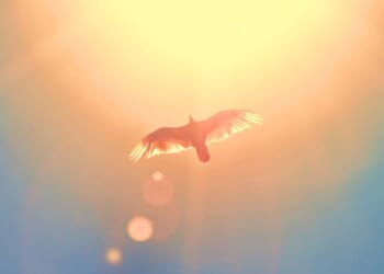 Come, Thou Long-Expected Spirit - Christianity Today