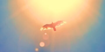 Come, Thou Long-Expected Spirit - Christianity Today