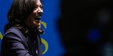 Democrats Might Be Settling for the Best of the Worst – HotAir