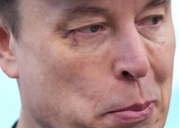 Elon’s Trial By Swamp - The Daily Reckoning