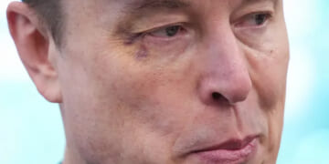 Elon’s Trial By Swamp - The Daily Reckoning