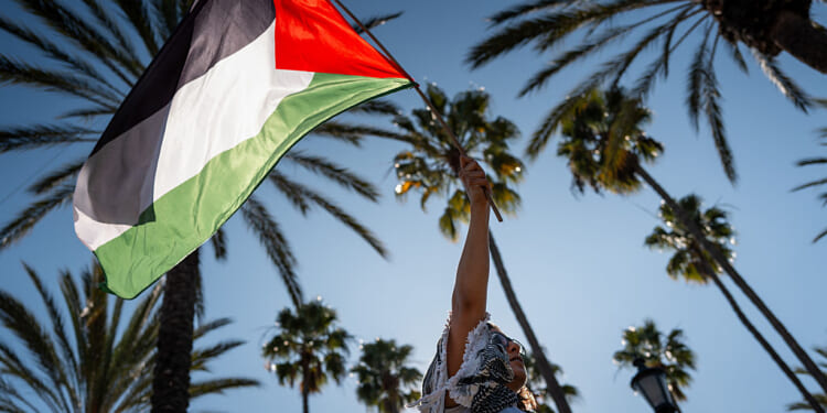 FBI Foils New Year's Eve Terror Plot by 'Pro-Palestinian' Group in California: Officials