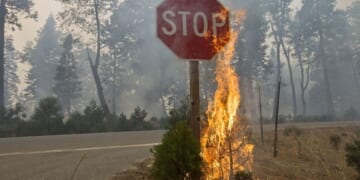 Humanity’s Oldest Technology Just Got a Lot Older – PJ Media