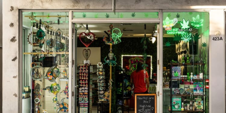 The entrance to a cannabis shop and dispensary with a leaf and alien logo on Duval Street in Key West at the end of the Keys road in the state of Florida on July 31, 2025.