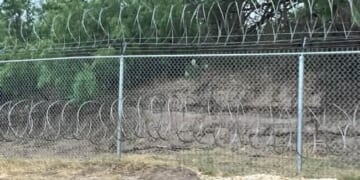 When Sanctuary Politics Put a Knife to an Innocent American – PJ Media