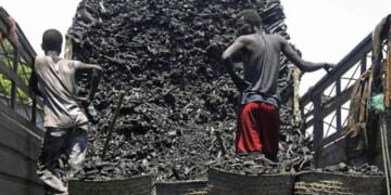 ‘Minnesota Somalis Are as Minnesotan as Tater-Tot Hotdish,’ But There’s Just One Catch – PJ Media