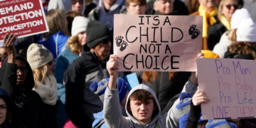 Abortion: I Wish We Had Two Words for It