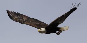 WOW — This Year Is Really Flying By – PJ Media