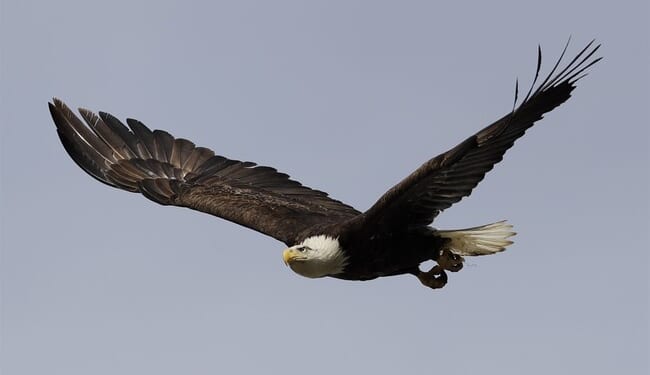 WOW — This Year Is Really Flying By – PJ Media