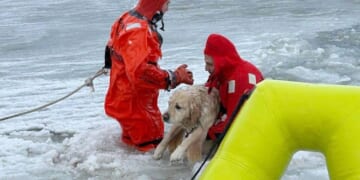 Rhode Island firefighters rescue a yellow Lab from an icy pond on New Year's Day