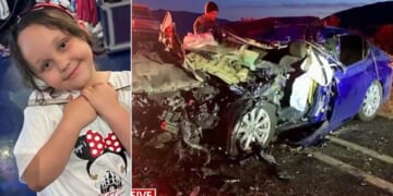 Arya Cruz Acencio, 8, was killed in the head-on collision when the car, allegedly driven by a drunken illegal alien, crossed a double yellow line in California.