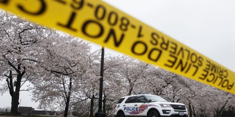 D.C. man faces second-degree murder charge, accused of causing crash that left pedestrian dead