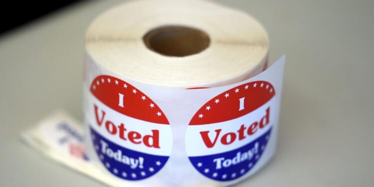 Feds detail 3 more noncitizen voting cases