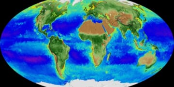 Real Mann of Science™ Ordered to Settle His Markers With Mark and Rand – HotAir