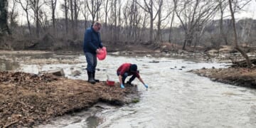 Massive sewage spill flows into Potomac River upstream from Washington