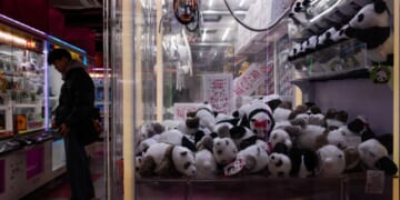 The last two pandas in Japan are leaving for China as ties are strained