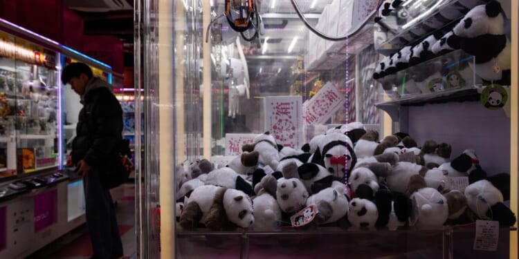 The last two pandas in Japan are leaving for China as ties are strained