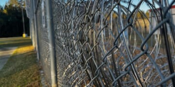 Federal judges order release of gang-affiliated migrants despite Trump administration objections