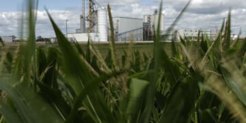 Trump says his administration will let E15 gasoline be sold permanently