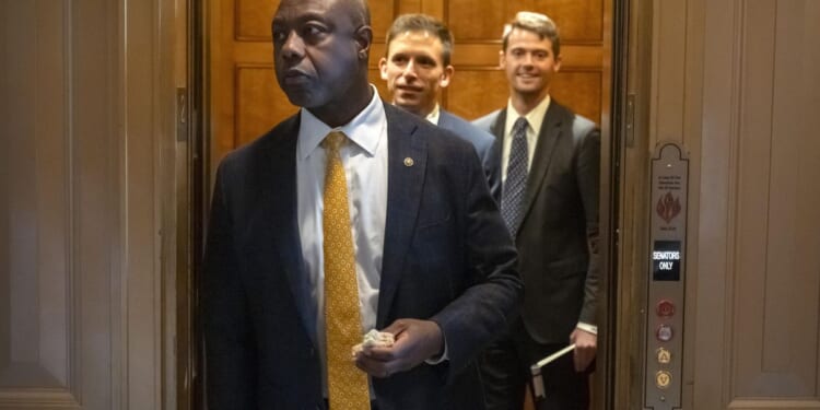 Senate GOP campaign arm raised $88 million in 2025