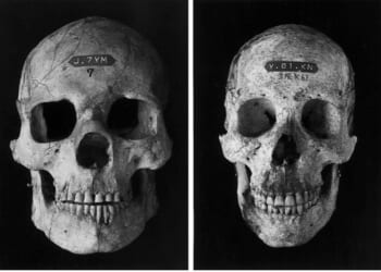 Building an Antifragile Portfolio - The Daily Reckoning