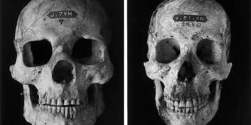 Building an Antifragile Portfolio - The Daily Reckoning