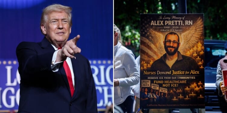 President Donald Trump played footage of Alex Pretti reportedly harassing ICE, aggressively impeding ICE operations, and spitting at and kicking ICE vehicles over a Democrat-made eulogy for him.