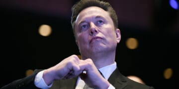 Businessman and influential political figure Elon Musk, pictured in a November file photo.