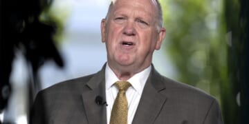 Homan Schools Dems on Violent Rhetoric, Immigration Enforcement – PJ Media