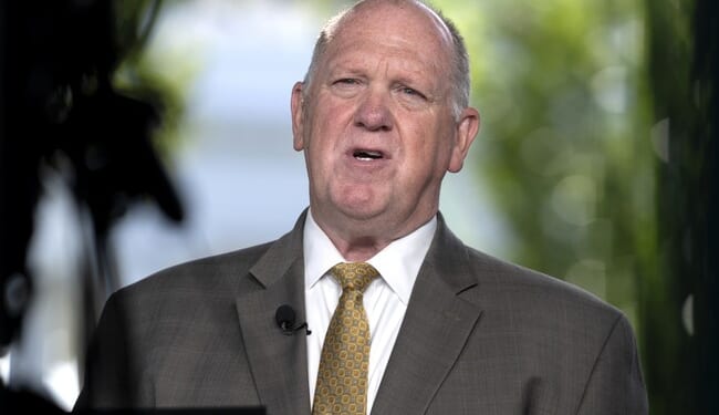 Homan Schools Dems on Violent Rhetoric, Immigration Enforcement – PJ Media