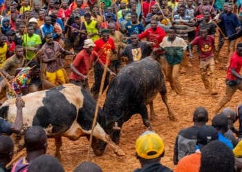 Kenyan Churches Compete with Bullfights on Sunday Morning