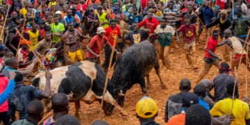 Kenyan Churches Compete with Bullfights on Sunday Morning