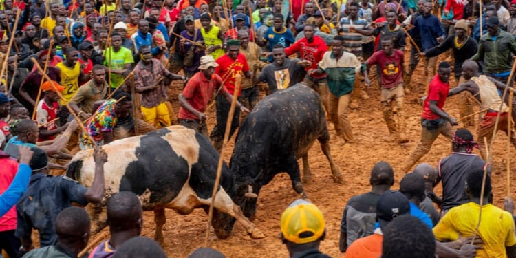 Kenyan Churches Compete with Bullfights on Sunday Morning