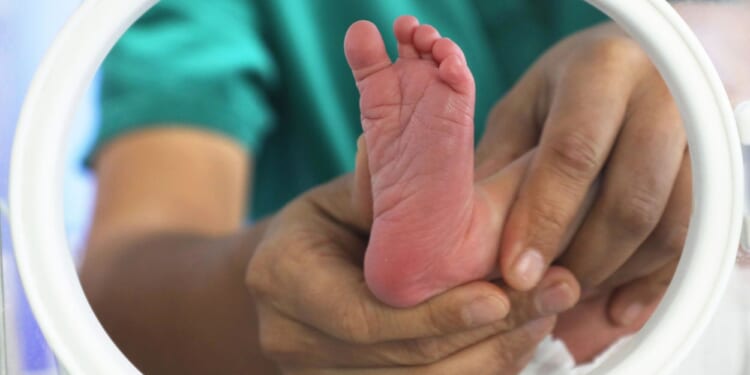 Let's Celebrate January as the Month for Life