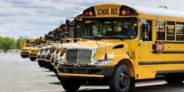 A fleet of yellow school buses parked near a high school.