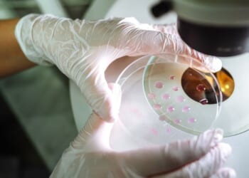 So What If the Bible Doesn’t Mention Embryo Screening?